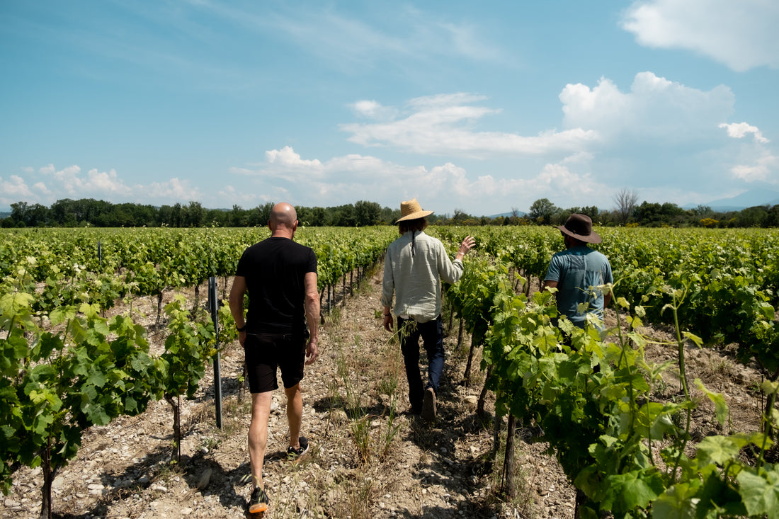 What Makes Vegan Wine Vegan?