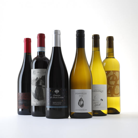 A Mix of Our Red & White Wines