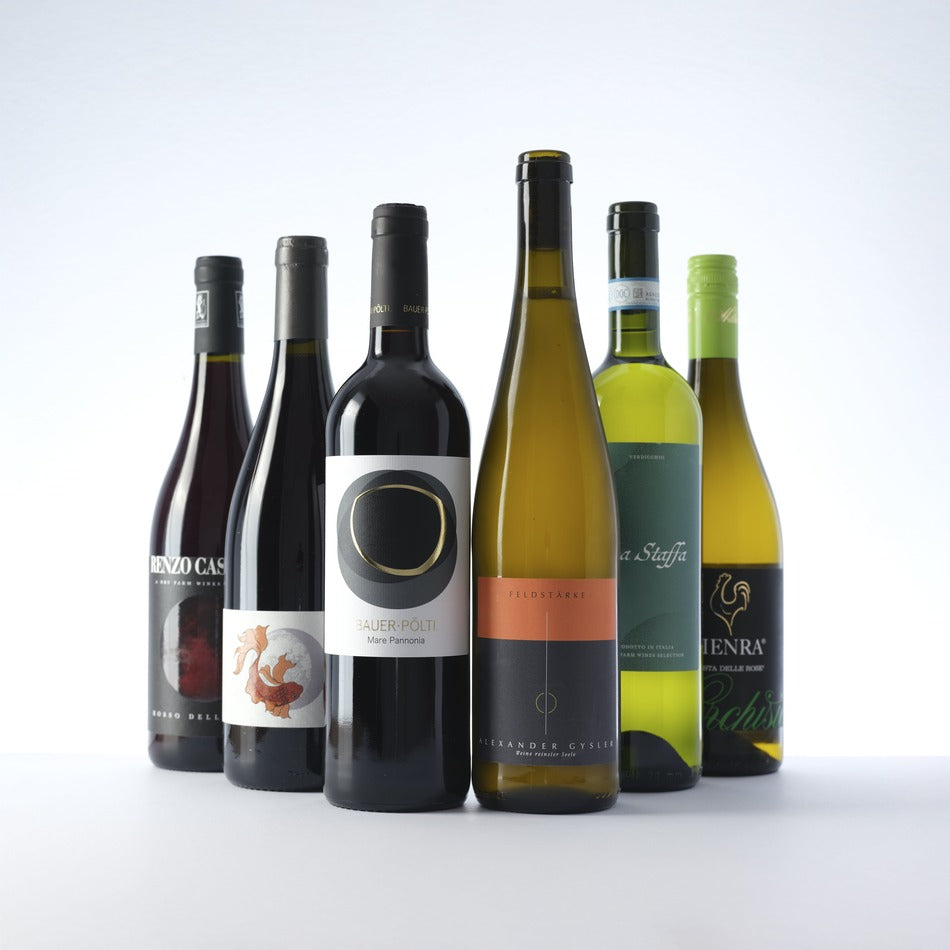 A Mix of Our Red & White Wines