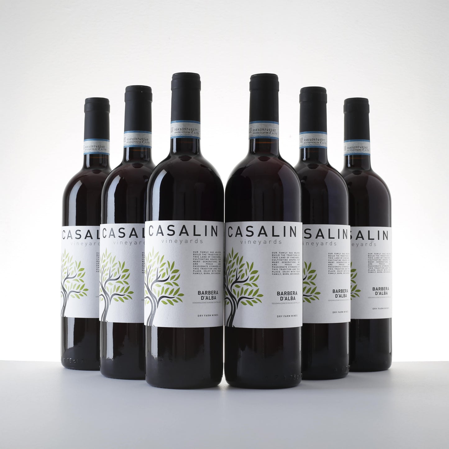 2023 Casalin Barbera d'Alba